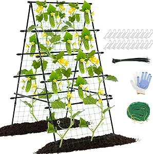 6ft Cucumber Trellis for Raised Bed