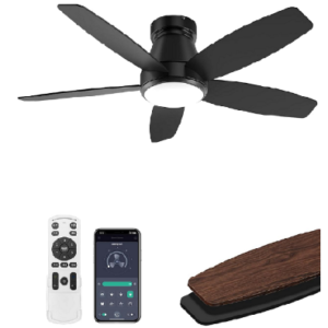 Ceiling Fan With Lights