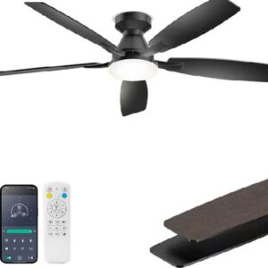 ceiling fan