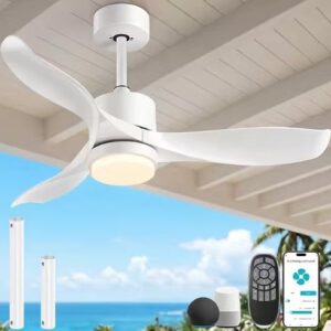 Smart Ceiling Fan