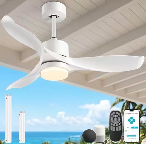 Smart Ceiling Fan 1 Smart Ceiling Fan