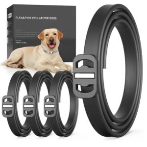 Dog Collar
