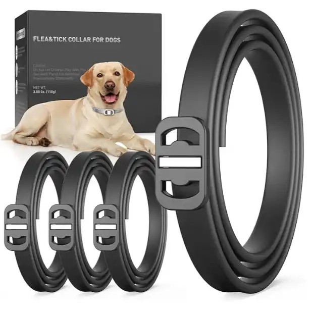 Dog Collar 1 Dog Collar